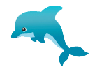 Dolphin Swimming Class