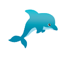 Dolphin Swimming Class